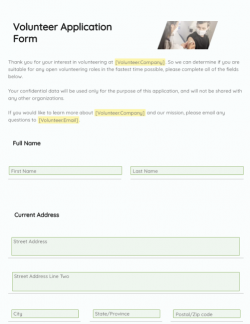 Volunteer Application Form