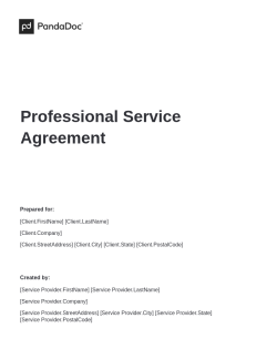 Professional Service Agreement