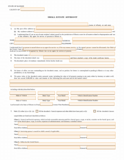 Small Estate Affidavit Illinois